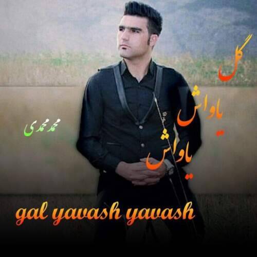 دانلود آهنگ محمد محمدی به نام گل یاواش یاواش آهنگ محمد محمدی گل یاواش یاواش