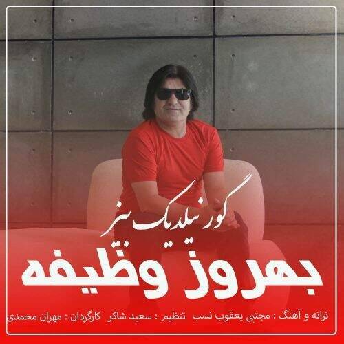 دانلود آهنگ بهروز وظیفه به نام گور نیلدیک بیز آهنگ بهروز وظیفه گور نیلدیک بیز