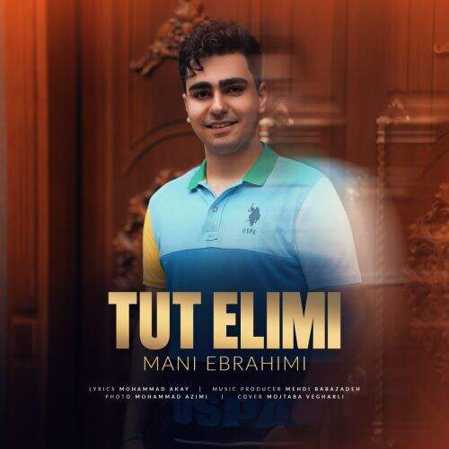 آهنگ مانی ابراهیمی توت الیمی