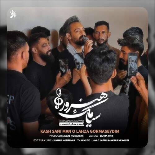 آهنگ سیامک هنرور کاش سنی