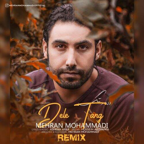 دانلود آهنگ ریمیکس  مهران محمدی به نام دله تنگ آهنگ ریمیکس  مهران محمدی دله تنگ