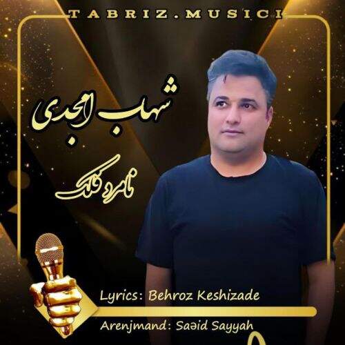 آهنگ شهاب امجدی نامرد فلک