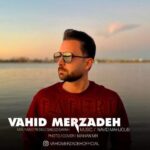 دانلود آهنگ وحید میرزاده به نام پاپوری