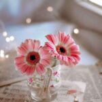 دانلود آهنگ دیجی نفس به نام یار اول منه جیران سنه قوربان