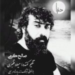 دانلود آهنگ صالح کرمی به نام دنیا