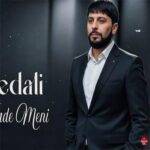 دانلود آهنگ تورال صدالی به نام سال آرادا یاده منی