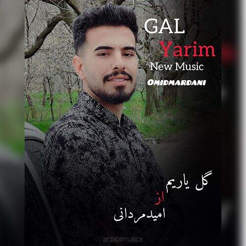 آهنگ امید مردانی گل یاریم
