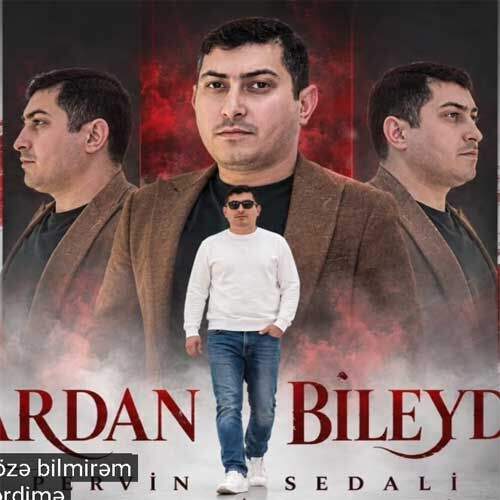 آهنگ پروین صدالی هاردان بیلیدیم