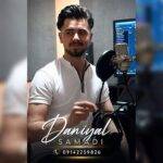دانلود آهنگ دانیال صمدی به نام پاپوری