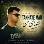 دانلود آهنگ حامد فرهادی به نام تنهای من