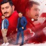 دانلود آهنگ پروین صدالی به نام عمروم