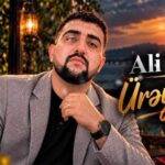 دانلود آهنگ علی صدالی به نام اوری یارام