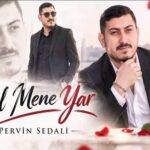 دانلود آهنگ پروین صدالی به نام گل منه یار دانلود آهنگ پروین صدالی به نام گل منه یار
